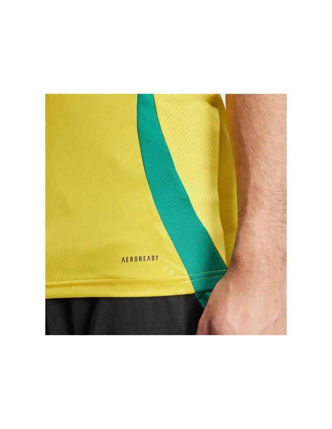 Camiseta de Fútbol adidas Jamaica 2024 Home Hombre Amarillo
