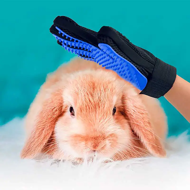 Guante Cepillado y Baño para Mascota Petit 663306 Azul