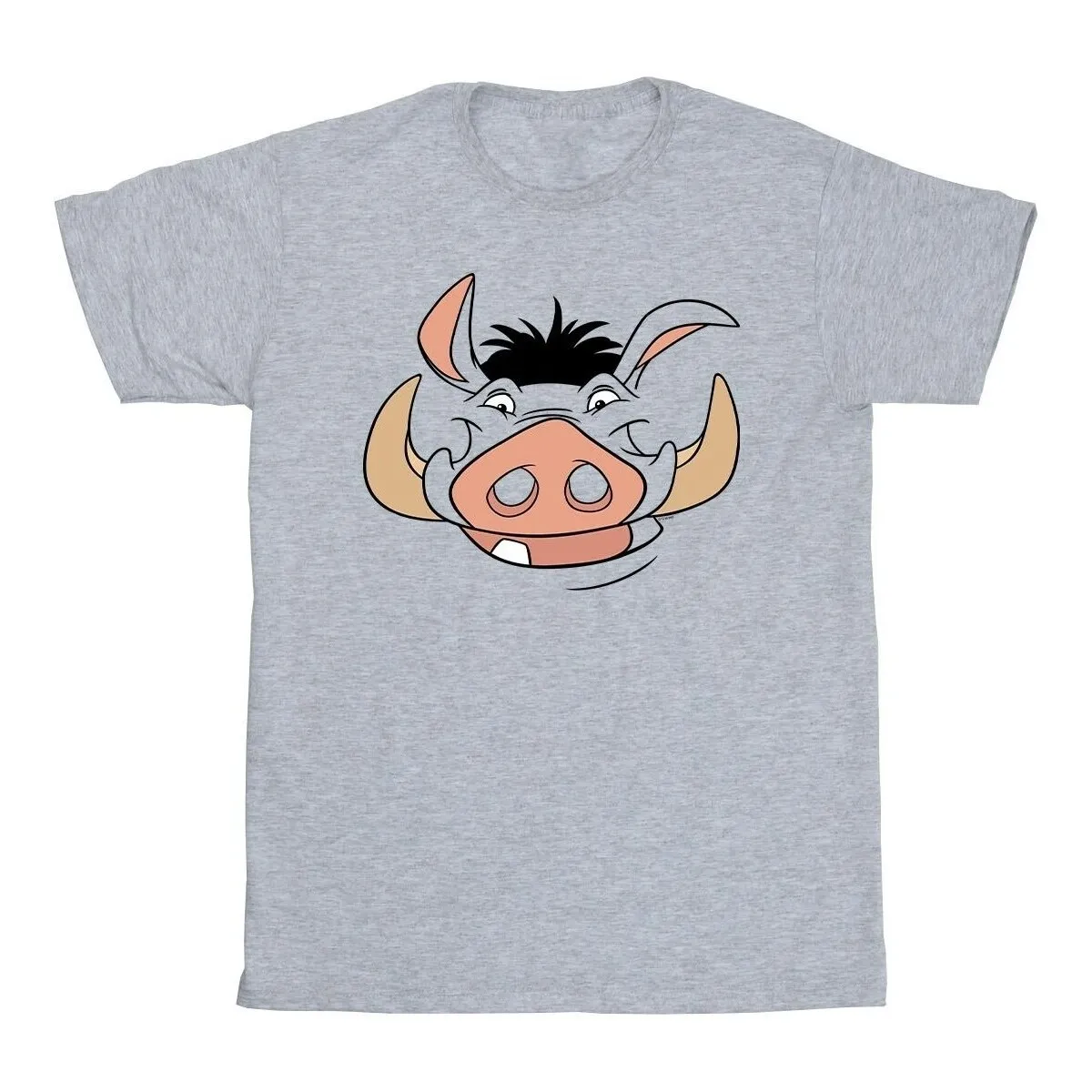 Lion King Pumba Face