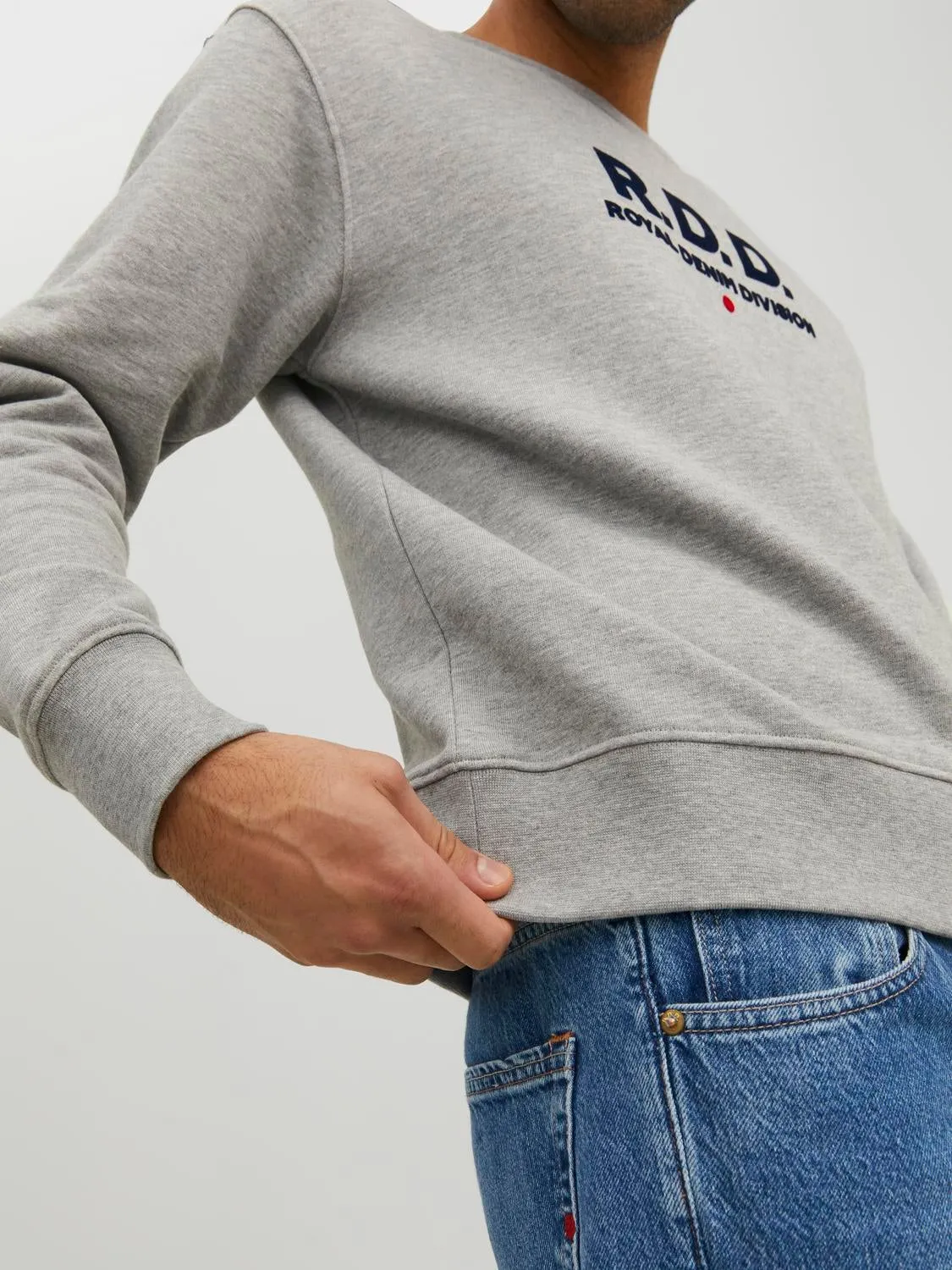 RDD Sudadera Logotipo | Gris claro | Jack & Jones®