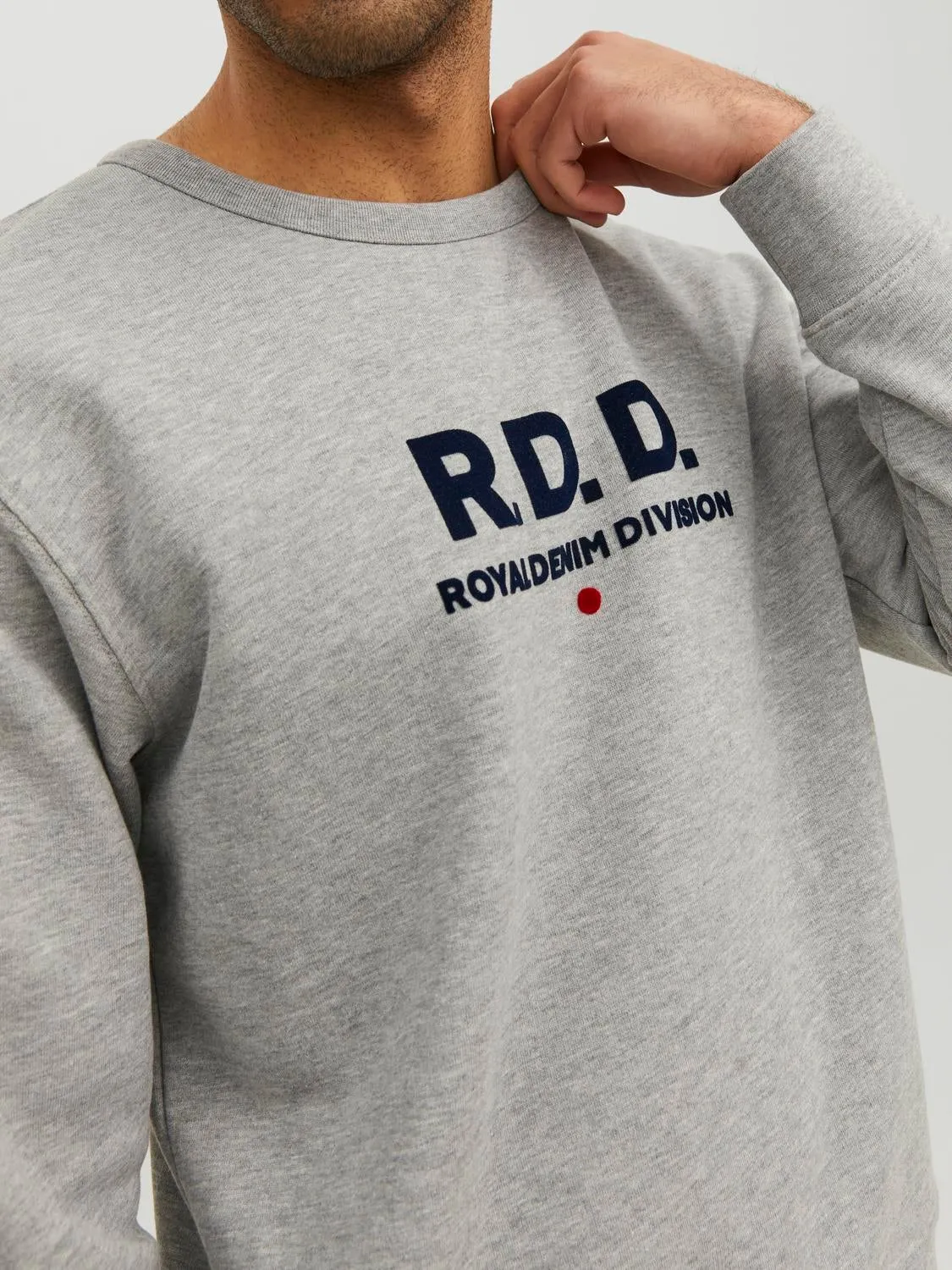 RDD Sudadera Logotipo | Gris claro | Jack & Jones®