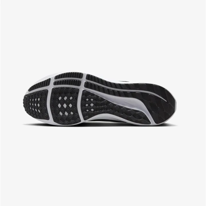 Zapatilla Nike Air Zoom Pegasus 40 DV3853.006