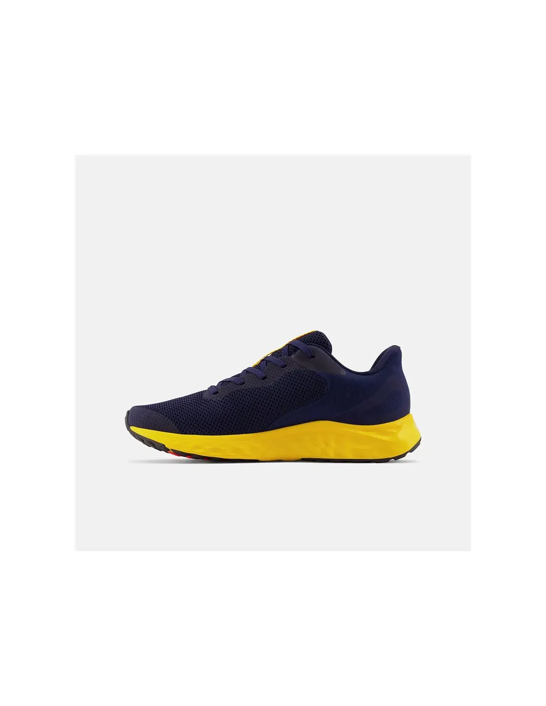 Zapatillas de running New Balance Fresh Foam Arishi v4 azul Infantil