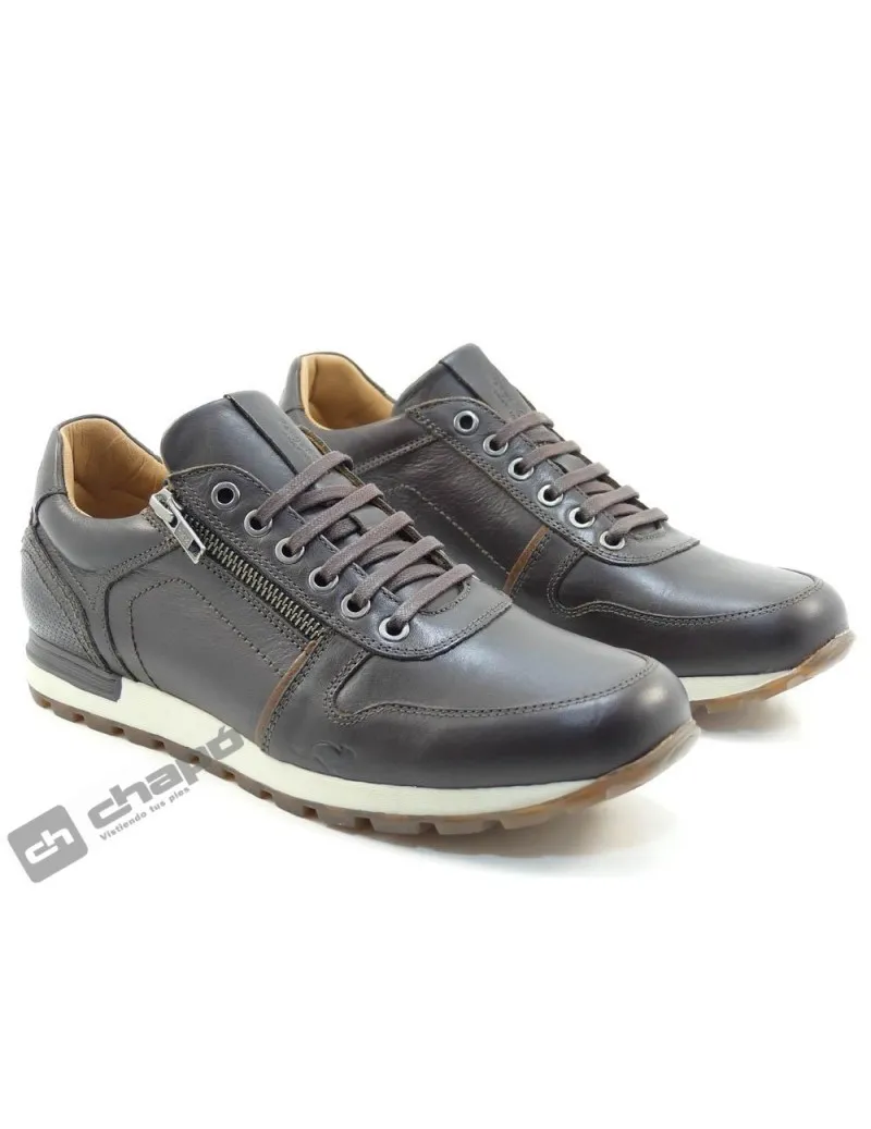 Zapatillas Deportiva Marron Kangaroos 463