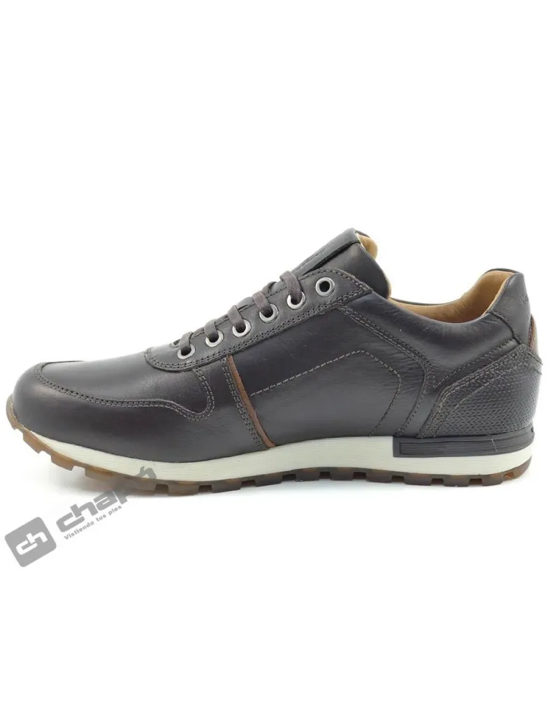 Zapatillas Deportiva Marron Kangaroos 463